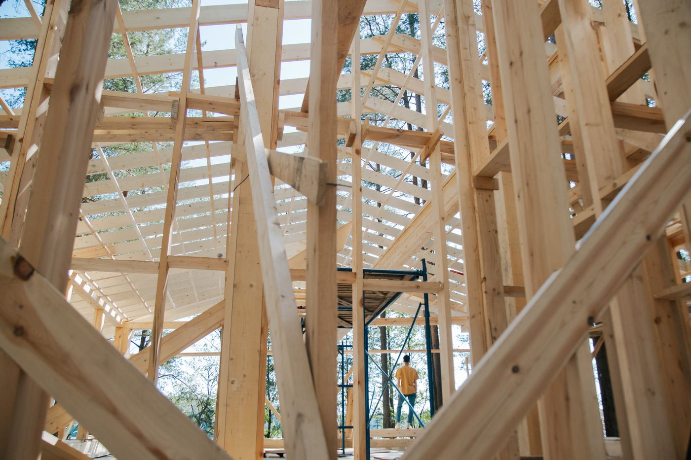 Sunlight falling across timber posts and exposed ceiling framing inside a building.